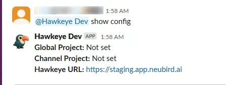 slack-show-config