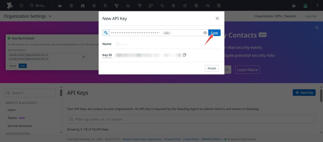Copy Datadog API key