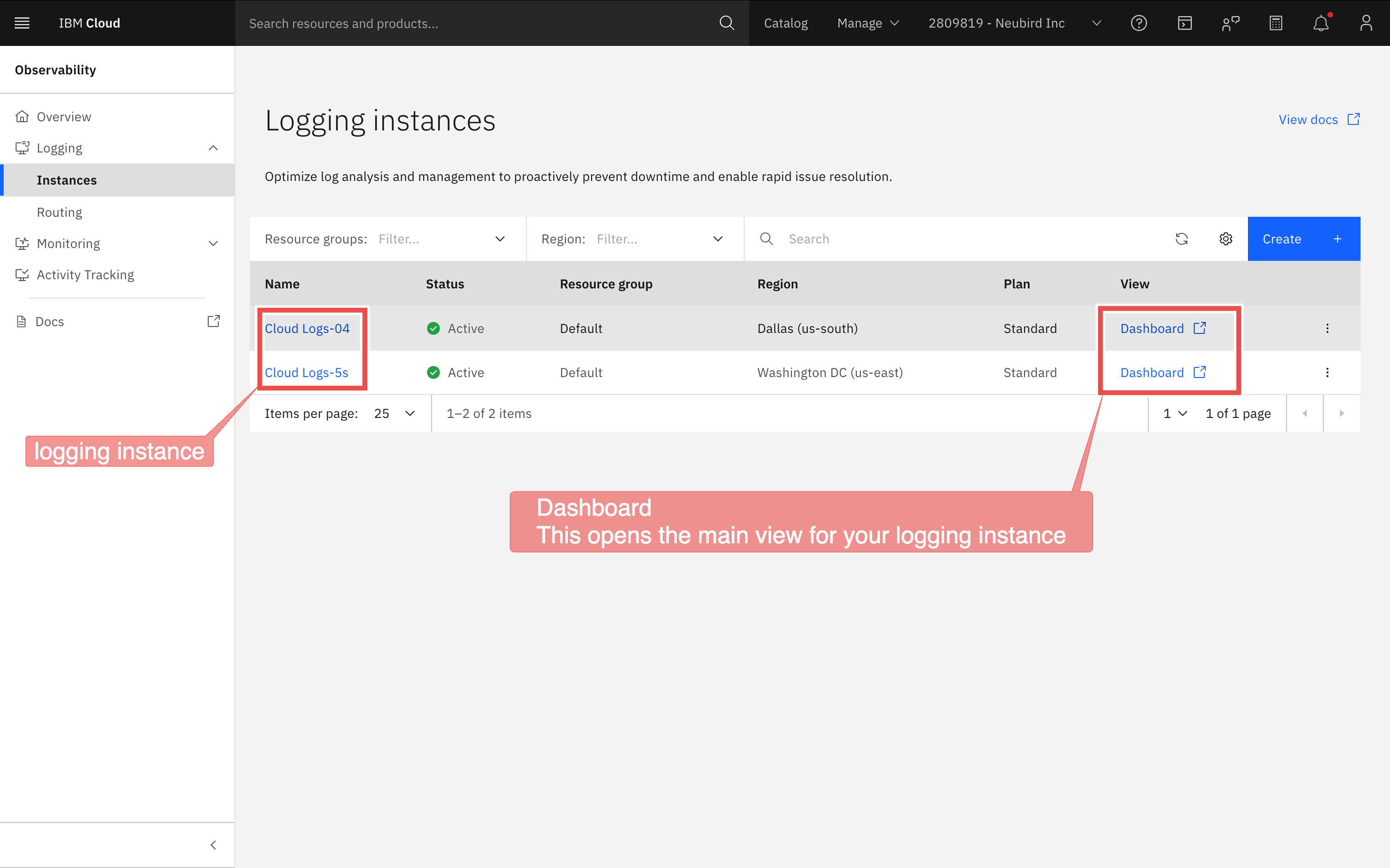 IBM Logging Instance