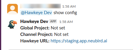 slack-show-config